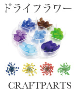 ドライフラワーのバナー